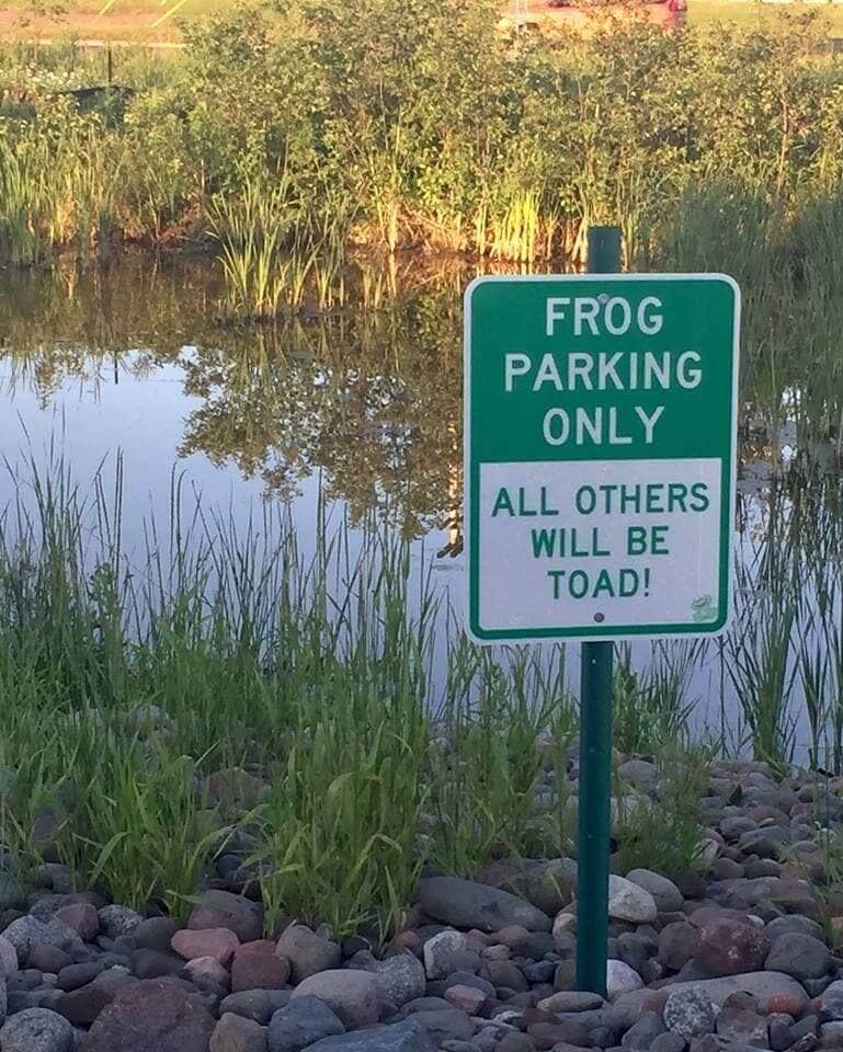 50 Hilarious Park Signs To Leave You Laughing All Day Long - Nature, Humor