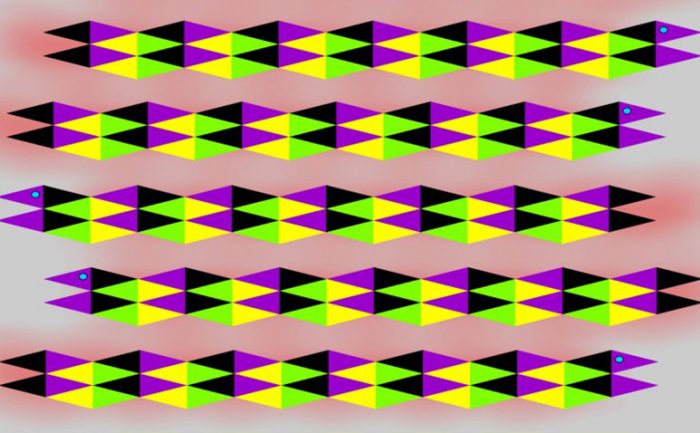 An optical illusion 