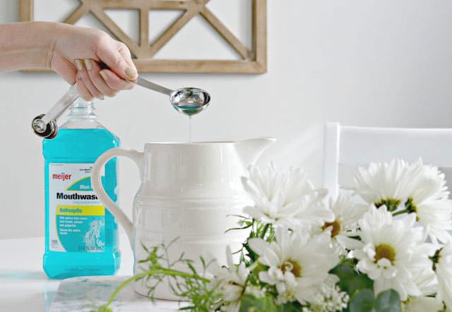 putting mouthwash in flower vase