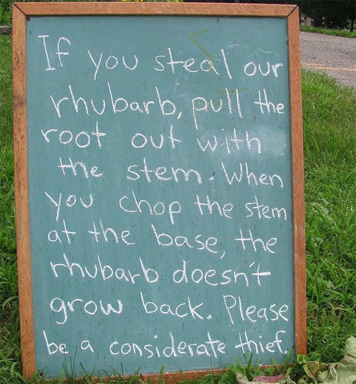 Sign that explains how to properly remove rhubarb from the ground