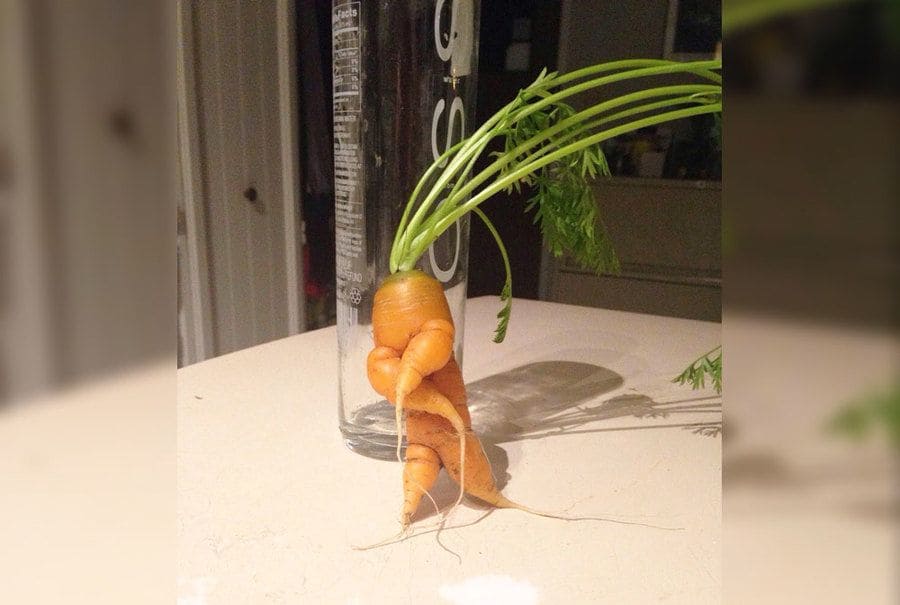 A carrot that looks like it’s dancing 