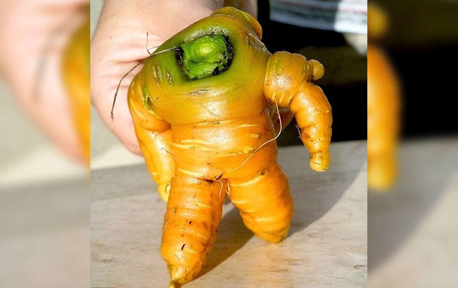A carrot shaped like Buzz Lightyear 
