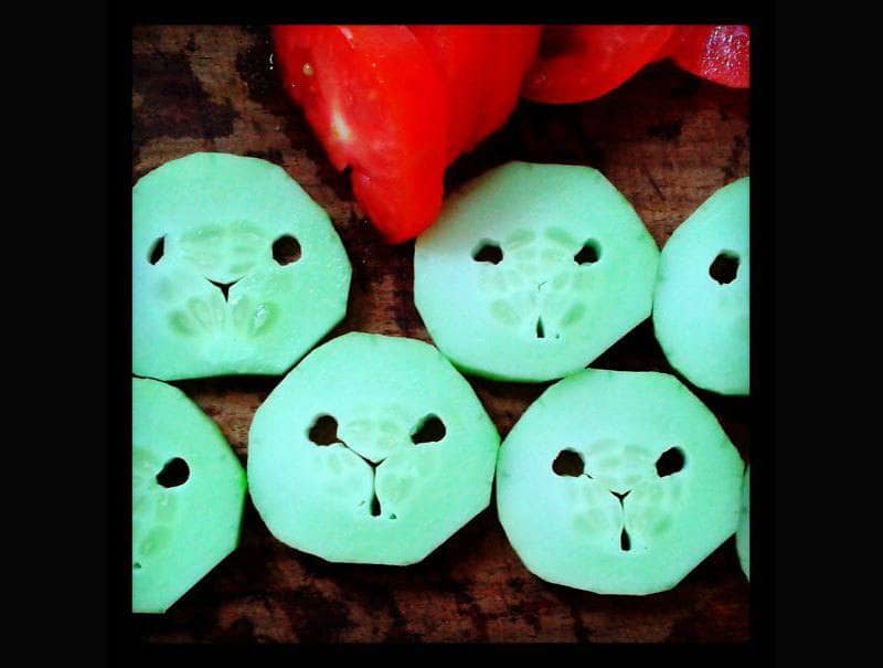 cut up cucumber pieces that6 look like little pandas 