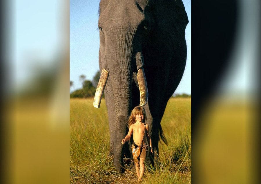 Tippi Degré era copil și un elefant în spatele ei