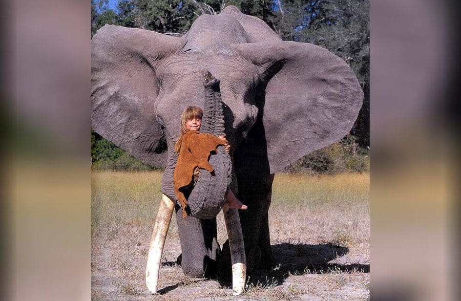 Tippy ca un copil care îmbrățișează un elefant