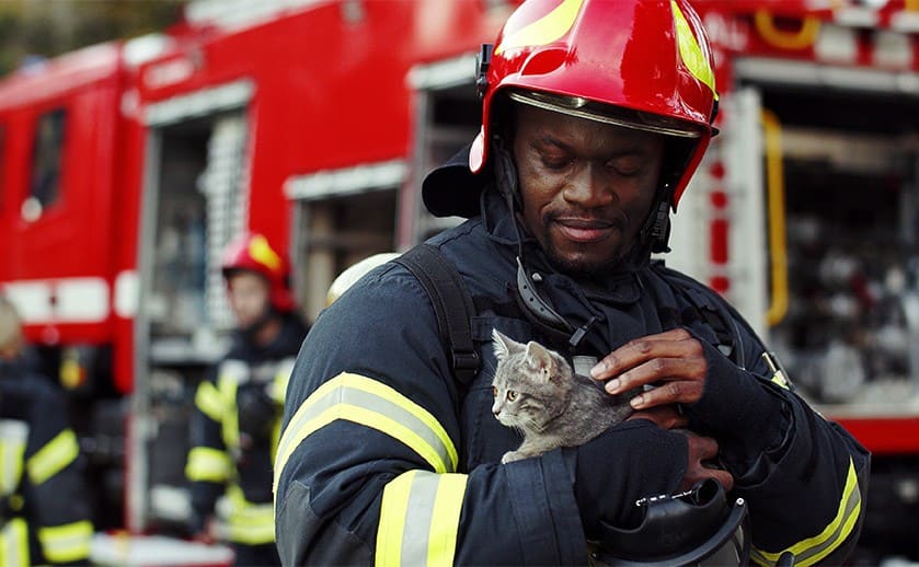 A firefighter holding a kitten 