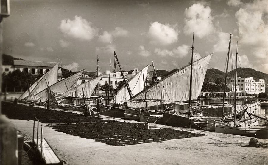 A harbor with fishing boats