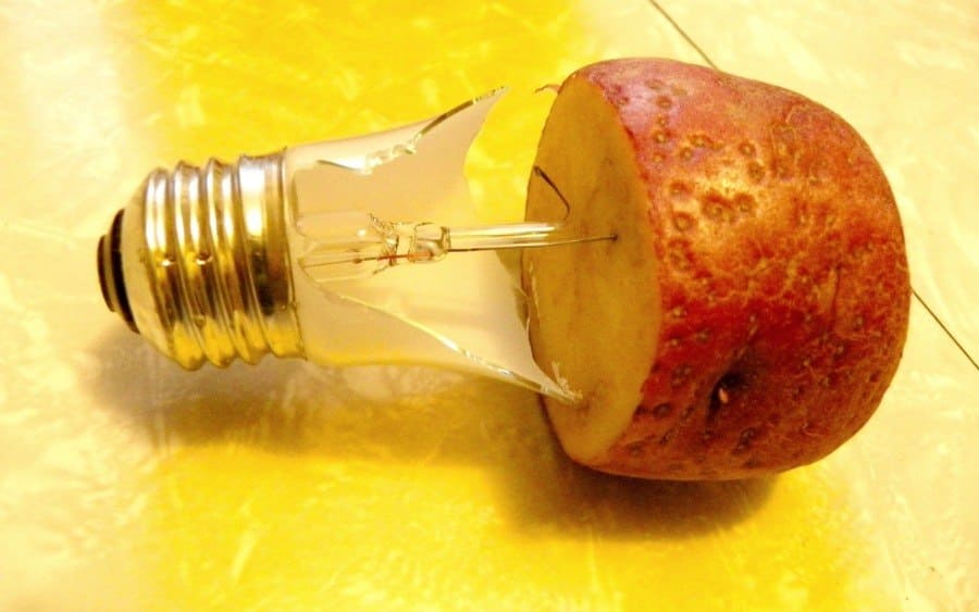 Using Potatoes for Broken Lightbulbs