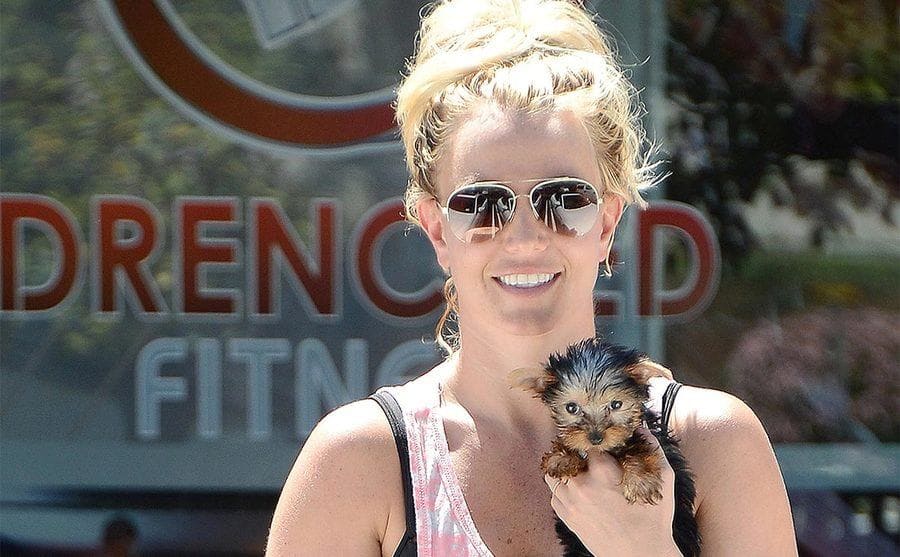 Britney Spears cargando su cachorrito