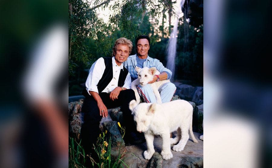 Siegfried and Roy posing for a photo with two of their white tigers.