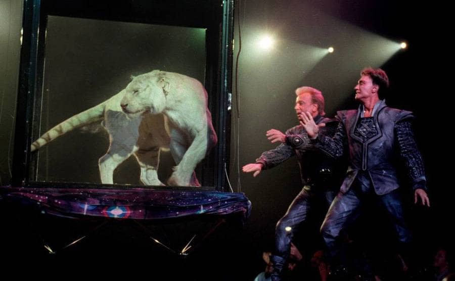 Siegfried and Roy performing on stage with a tiger.