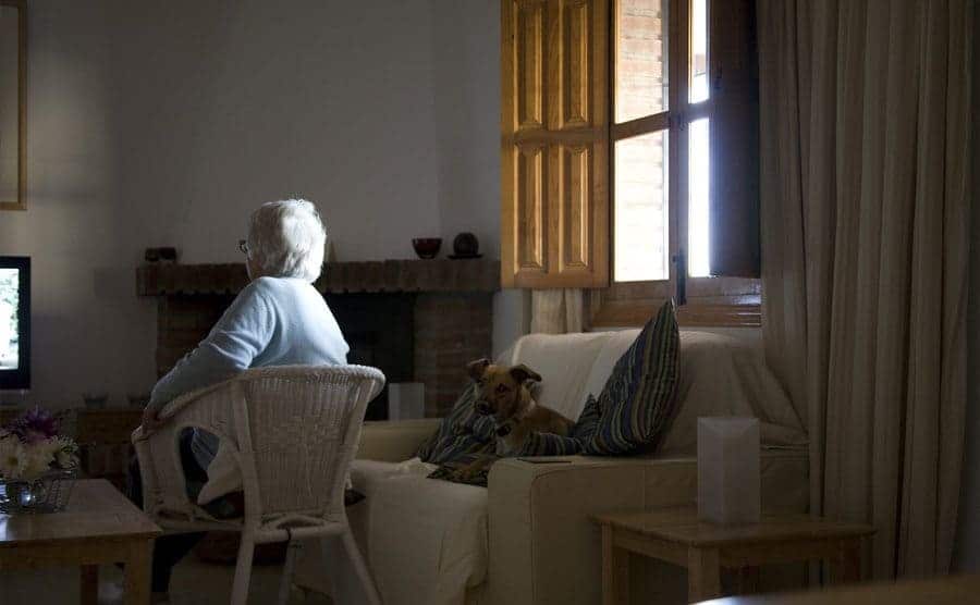 A white-haired woman sits on a wicker chair inside the house with a dog sitting on sofa while watching TV.