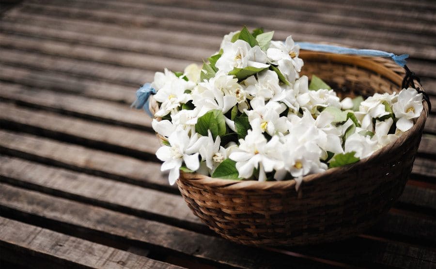 White flowers in wicker basket on a front porch.