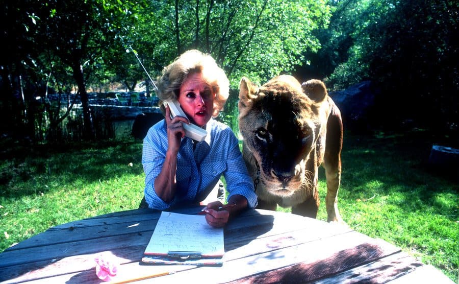 Tippi Hedren sitting at a picnic table with a full-grown female lion standing next to her 