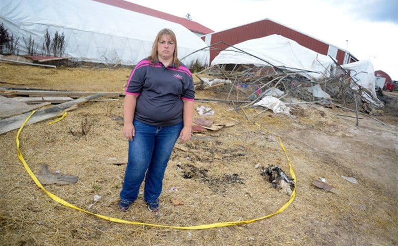 Rachel Kroeplien, who owns the farm with her family, is standing by the wreckage left from the crash. 