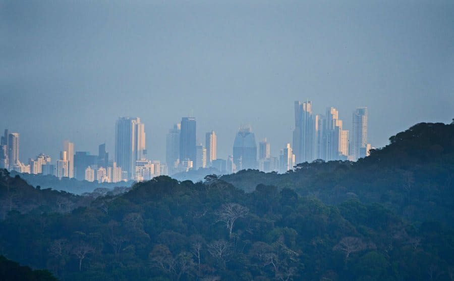 The view across the Soberania National Park of Panama City. 