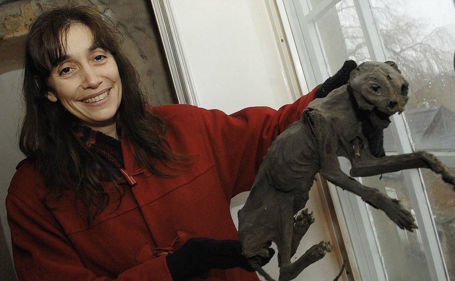 A woman holds up a mummified cat she found in her home.