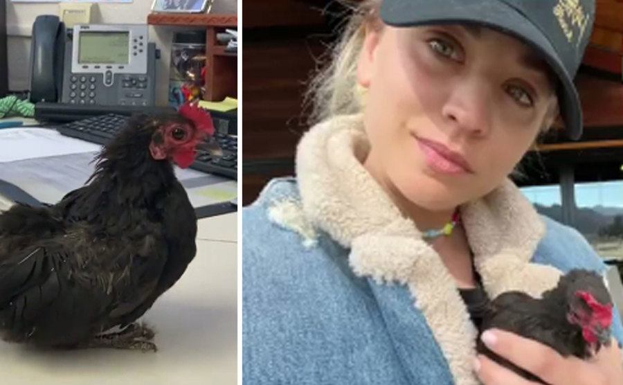 Kaley Cuoco and the rooster she adopted. 