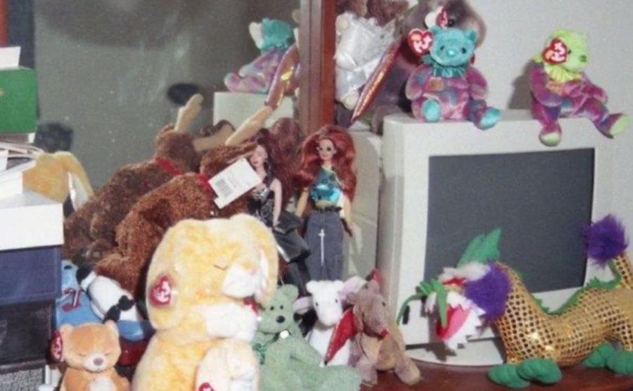 A picture of the toys in Evonitz’s house.