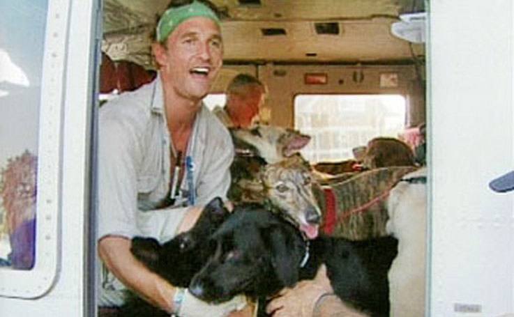 Matthew McConaughey takes dogs in for care after Katrina. 