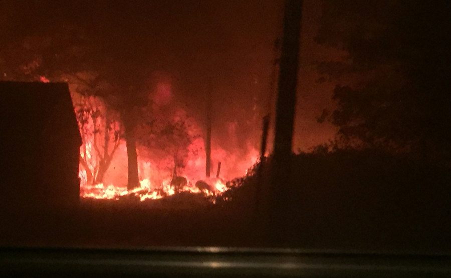 A view of the fire from a window in the bus.