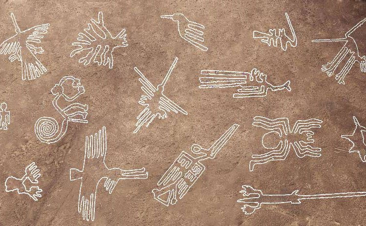 Depictions of the various Nazca Lines. 