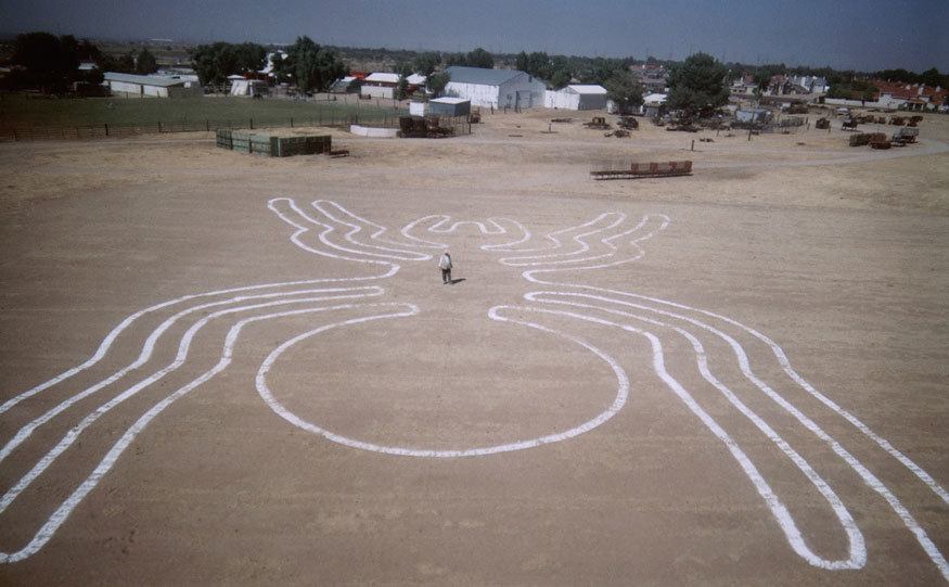 Joe Nickell stands in the middle of his own Nazca spider recreation. 