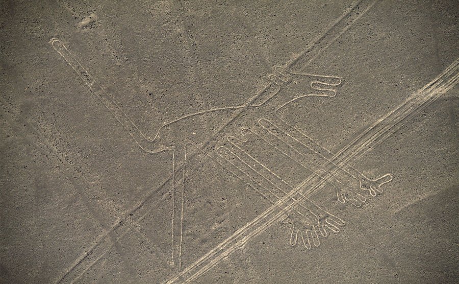 The dog, geoglyph, Nazca Lines