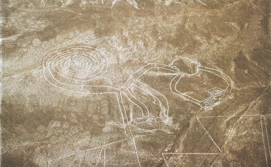 Nazca Lines shaped like a monkey. 