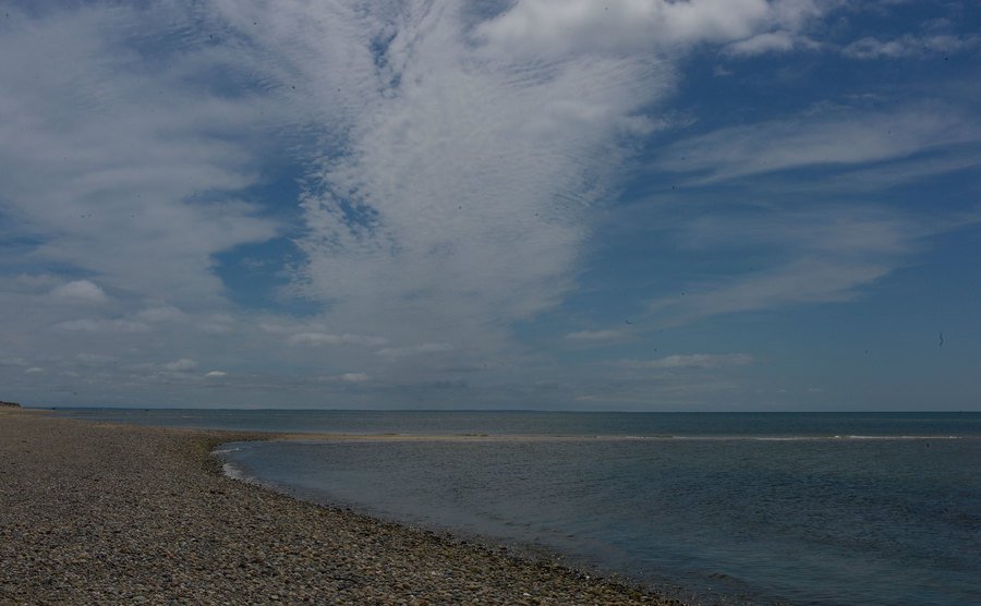 An image of a sea shore.