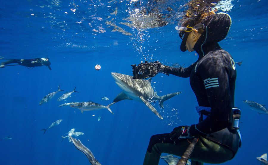 A photo of a woman trying to feed a shark.
